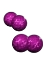 moraxella image